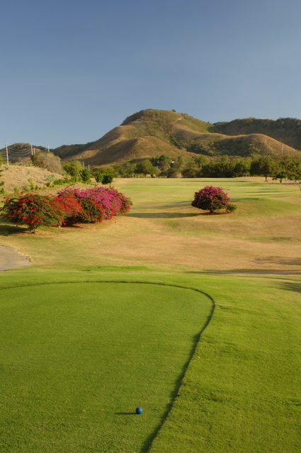 coamospringsgolfclub0035
