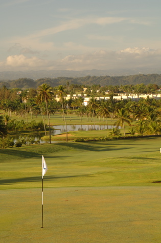 doradodelmar0988