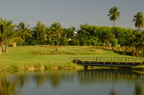doradodelmar1026