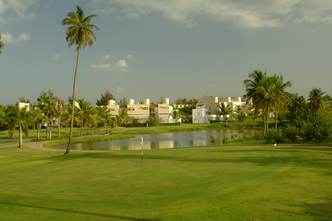 dorado del mar1040