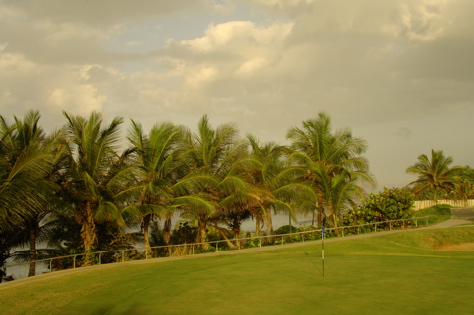 dorado del mar1061