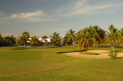 doradodelmar0964