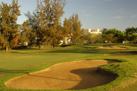 doradodelmar0970