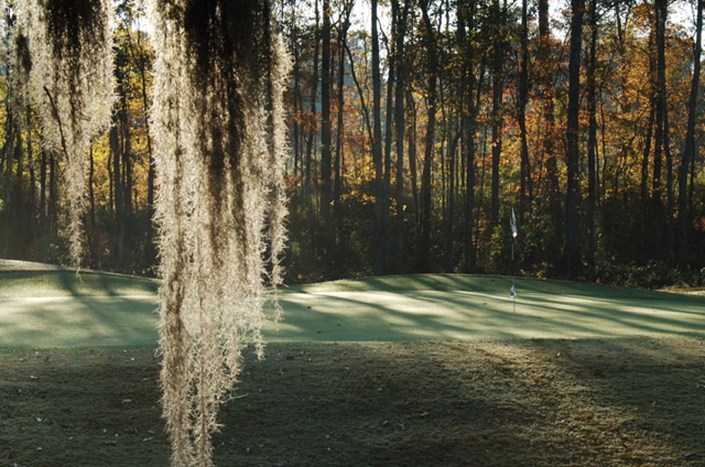 southcarolinagolfcourses0210