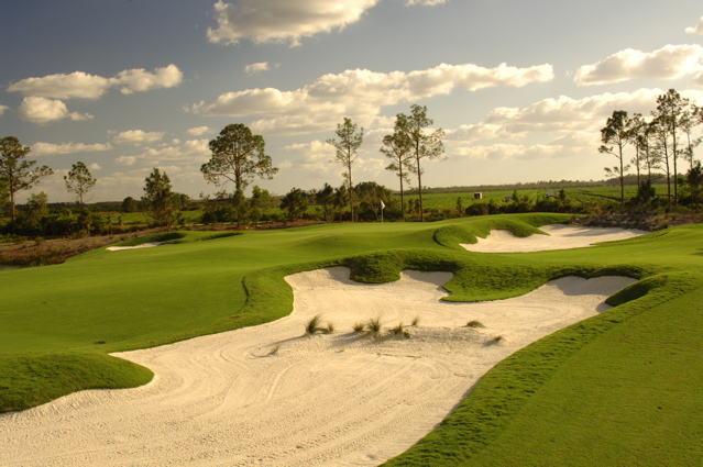 Uddybe Egern Næb old corkscrew golf club, estero florida, old corkscrew golf course, elite golf  courses, jack nicklaus signature golf course design, florida golf, elite golf  courses, caddiecorner, tid griffin, golf course photography, professional  golf
