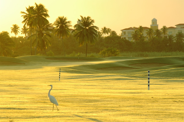 palmasdelmarcountryclub0058