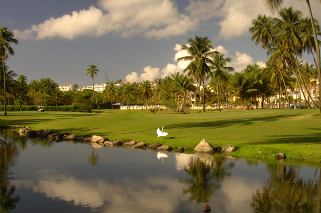 palmasdelmarpalmscourse0508