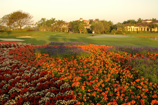 quailwestgolfclublakescourse0484