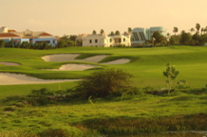 divi village golf and beach resort1447