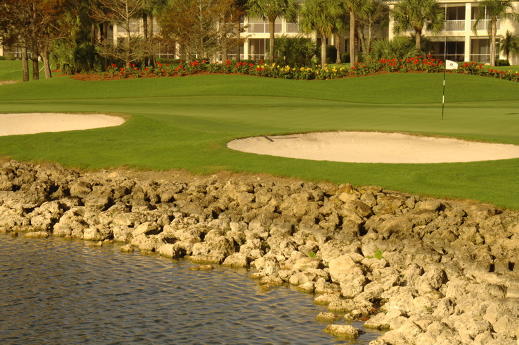 vineyardsnaplesnorthcourse0391