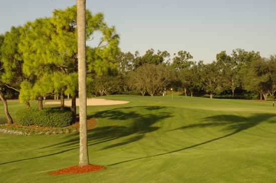 vineyardsnaplessouthcourse0650