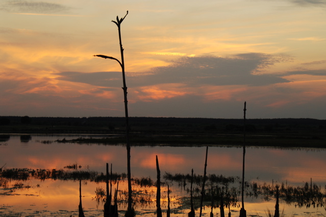 championsgateinternational0246