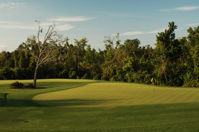 championsgatenational0026