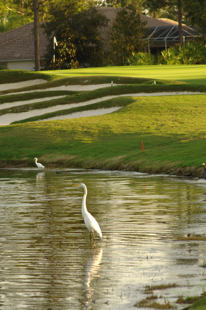 clubdebonmontsouthcourse0064