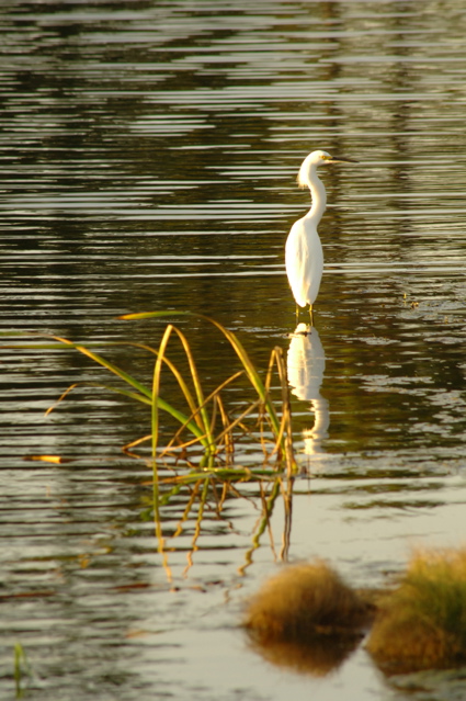 clubdebonmontsouthcourse0080