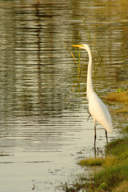 clubdebonmontsouthcourse0092