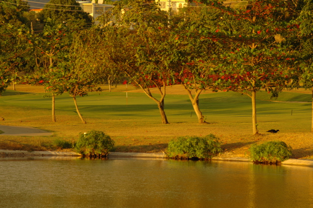 coamospringsgolfclub0013