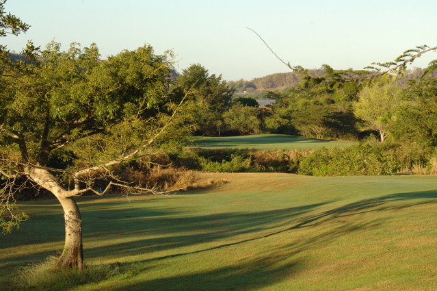 coamospringsgolfclub0092