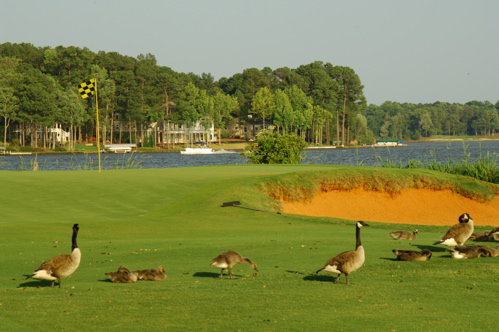 golfclubatcuscowilla0305