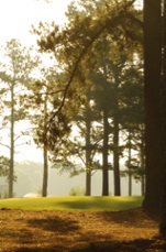 Cuscowillagolfclub0042