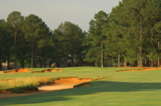 Cuscowillagolfclub0081