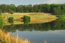 Cuscowillagolfclub0101
