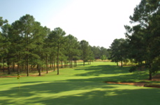 golfclubatcuscowilla0242