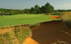 golfclubatcuscowilla0273