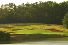 golfclubatcuscowilla0281
