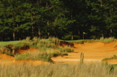 golfclubatcuscowilla0289
