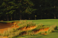 golfclubatcuscowilla0318