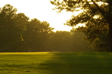 golfclubatcuscowilla0205