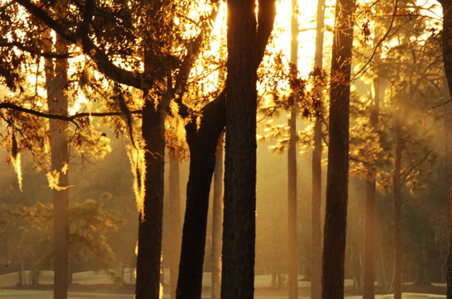 southcarolinagolfcourses0179