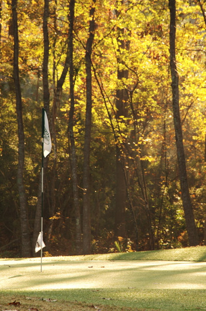 southcarolinagolfcourses0212
