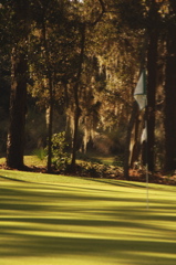 southcarolinagolfcourses0072