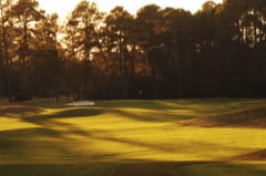 southcarolinagolfcourses0066