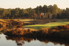 southcarolinagolfcourses0199