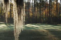 southcarolinagolfcourses0210