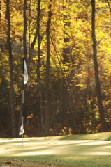 southcarolinagolfcourses0212