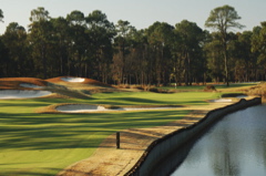 southcarolinagolfcourses0132