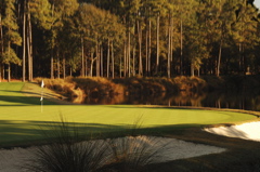 southcarolinagolfcourses0146