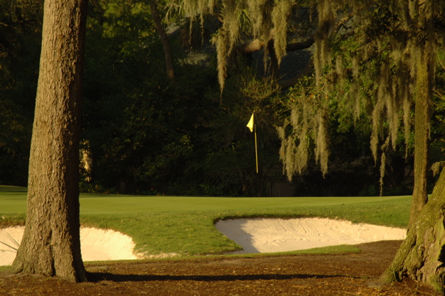 kiawahislandcougarpoint0060