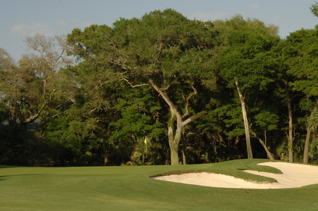 kiawahislandcougarpoint0066