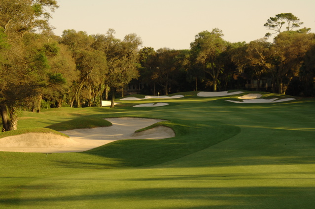kiawahislandcougarpoint0090