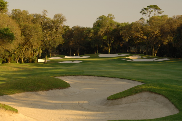 kiawahislandcougarpoint0098