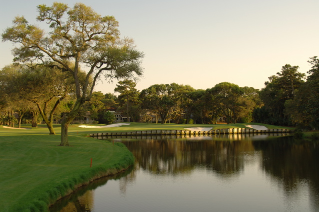 kiawahislandcougarpoint0110