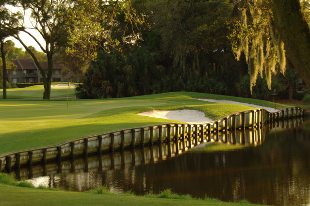 kiawahislandcougarpoint0117
