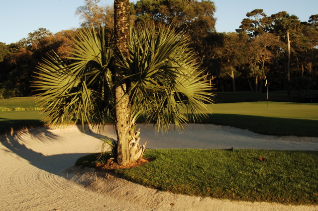 kiawahislandcougarpoint0198