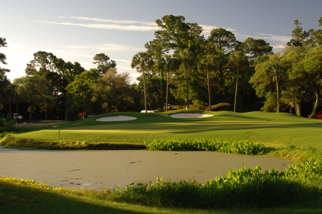kiawahislandcougarpoint0211