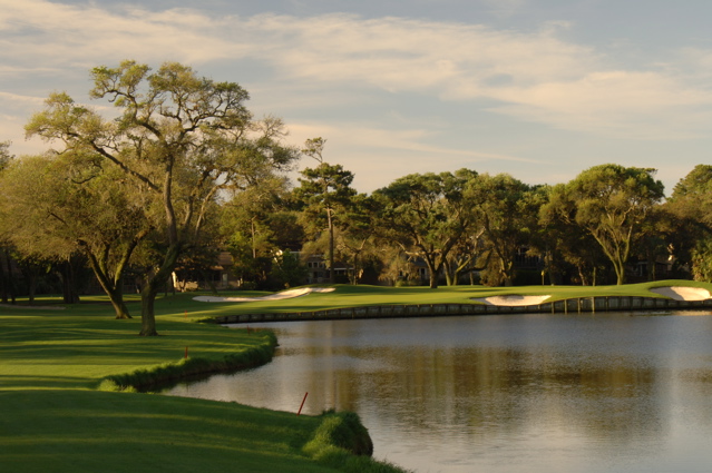 kiawahislandcougarpoint0213